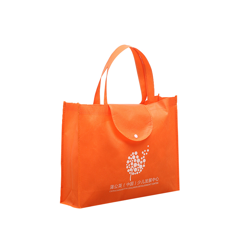 Dust Eco Friendly Foldable Image Folding Non Woven Bag