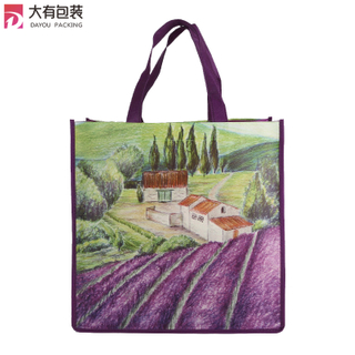 Promotional Nylon Handle Laminated PP Non Woven Shopping Tote Bag with Company Logo