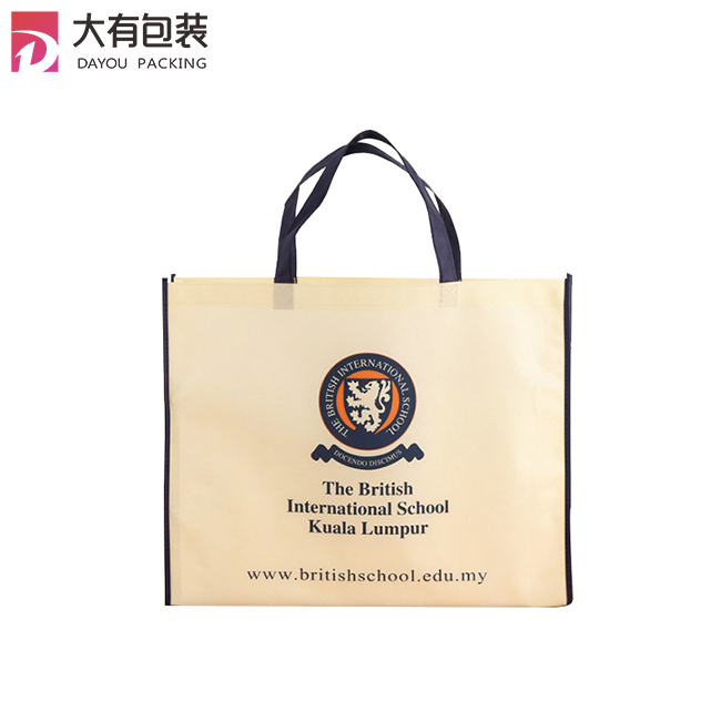 Promotional Customized Logo Handled Style Advertising Recycling Non Woven Carry Bag