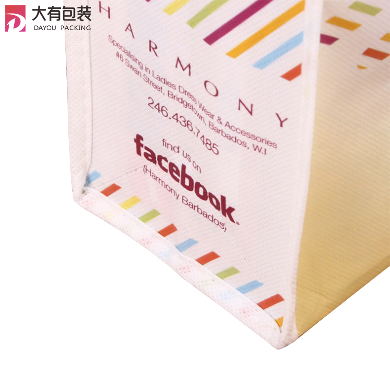 Full Colors Printing Laminated PP Non Woven Fabric Bag With Long Nylon Handle