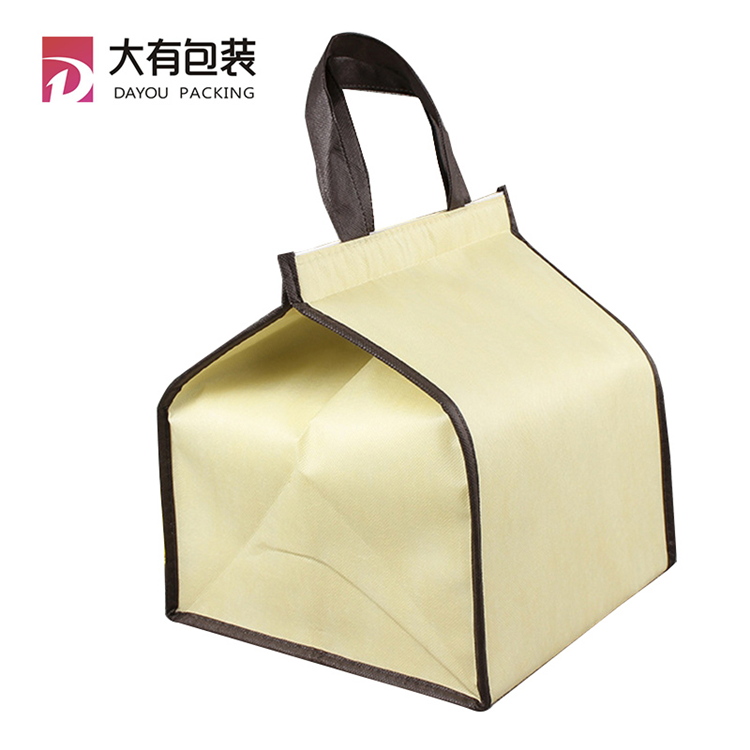 Non-woven Thermal Picnic Insulated Can Cooler Refrigerator Bag