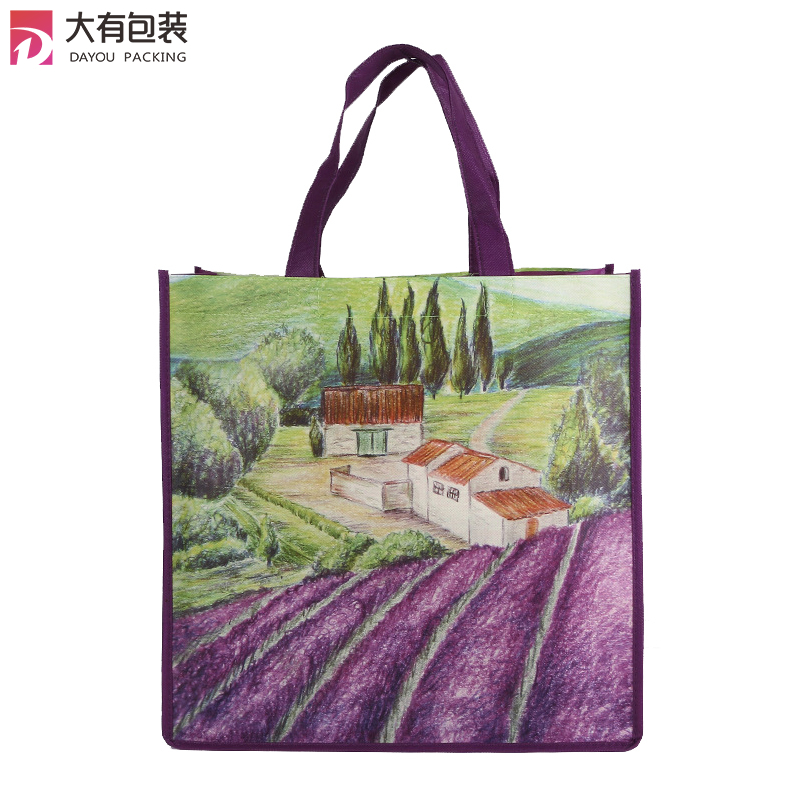 Promotional Nylon Handle Laminated PP Non Woven Shopping Tote Bag with Company Logo