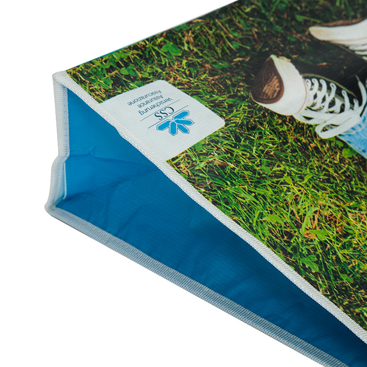 Custom Silkscreen / Sublimation / Heat Transfer Printing Promotional Non Woven Rpet Bags